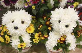 Over 23,488 dog flower pictures to choose from, with no signup needed. Flower Dogs Using White Carnations And Animal Or Doll Eyes Noses Glued To Toothpicks D Awww Puppy Flowers Dog Flower Creative Flower Arrangements