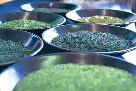 お茶の賞味期限 賞味期限切れのお茶 茶葉 の活用 正しい保存方法 お食事ウェブマガジン グルメノート