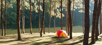 Campsites Near Me