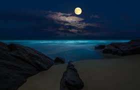 42 Night Ocean Wallpaper On Wallpapersafari Search free beach wallpapers on zedge and personalize your phone to suit you. night ocean wallpaper on wallpapersafari
