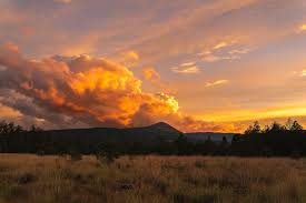 Fun fact about Denali, in the language of the native Americans here it  means the great one! Also the sled team that works in Denali National park  is a must see! . . . . . . . #