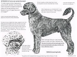 Pin On Grooming Inspiration Working Group