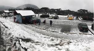 The site owner hides the web page description. è³žé›ªæ³¨æ„ é™½æ˜Žå±±å¯¦æ–½äº¤ç®¡è»Šè¼›ä¸Šå±±é ˆè£é›ªéˆ æ–°èž ä¸­æ™‚æ–°èžç¶²