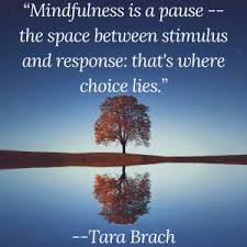 Image result for Mindfulness