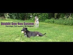 It should be tight enough you dog can't slip out of it, but not too tight. The Only Truly Tangle Free Dog Tie Out Best Dog Tie Out For Large Dogs Xl Dogs And Xxl Dogs Youtube