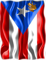 Coqui On Puertorican Flag Puerto Rico Art Puerto Rican Flag Puerto Rico