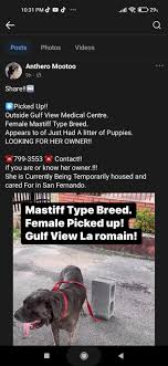 Lost Dogs/Pets of Trinidad and Tobago