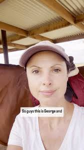 It’s time to properly introduce my new horse!, #newhorse #ottb  #thoroughbred #baygelding #younghorse #cutie #racehorse #horsetrainer  #dressagetrainer #horsemanship