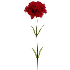 Red Large Carnation Stem By Ashland Minimalist Tattoo Carnation Tattoo Carnations