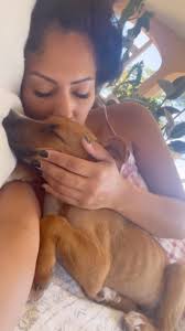 Geez, I got all choked up making this video, these pups make my heart so  full. It’s funny because there was a YouTube video made some months ago I  stumbled upon that mentioned my lack of success after ...