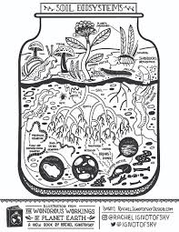And thus, the cranky activist was born. Free Downloads Rachel Ignotofsky Design