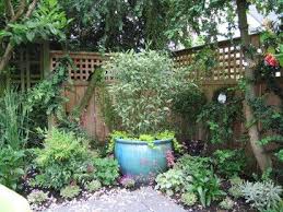 Small Courtyard Garden Design Ideas Pictures Remodel And Decor Courtyard Gardens Design Small Courtyard Gardens Courtyard Garden