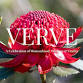'VERVE'  A Celebration of Womanhood, Wisdom & Vitality event image