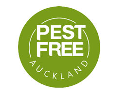 Pest control specialists have the right equipment, tools, and techniques to lure out pests and catch them. Rats Running Riot Pest Control Tips Ahead Of Winter Ourauckland