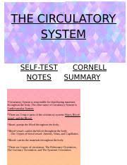 The Circulatory System Docx The Circulatory System Self Test Cornell Notes Summary Circulatory System Is Responsible For Distributing Materials Course Hero