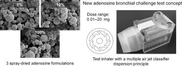 Image result for Inhalation Challenge Test