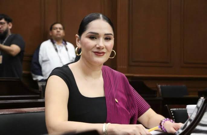 Celebra Diana Espinoza resolución de la SCJN que avala Reforma Electoral y  fortalece modelo de candidaturas independientes – Congreso del Estado de  Michoacán de Ocampo
