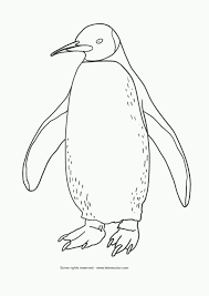 These creatures are quite popular among kids and adults alike and are often depicted in movies, both animation and realistic. Proficiency Gentoo Penguin Coloring Page Free Printable Coloring Coloring Home
