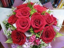 We did not find results for: Fiori Per Il Compleanno Quali Scegliere