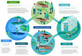 A Learning Ecosystem Model