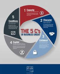 Understanding The 5 C S Of Credit For Your Business