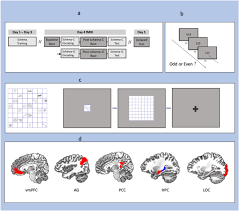 Image result for training effect schema