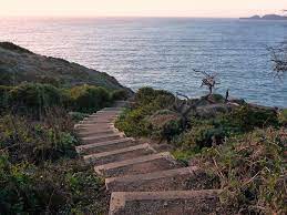 Maybe you would like to learn more about one of these? 9 Best Bay Area Hikes To Get Out And See Nature