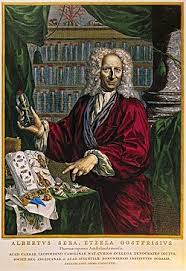 Maybe you would like to learn more about one of these? Albertus Seba Wikipedia