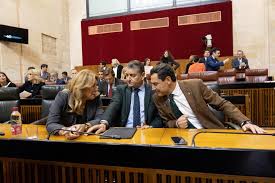 Vox suma sus votos a los del PP para rechazar las enmiendas de totalidad a  los Presupuestos de la Junta | Política | Actualidad | Cadena SER