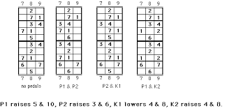 Pedal Steel Guitar Scales For E9th Scales 5