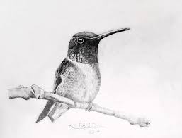 We did not find results for: Black Chinned Hummingbird Drawing By Ks Ballew