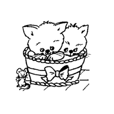 670 x 902 gif pixel. Katten Kleurplaten Leuk Voor Kids