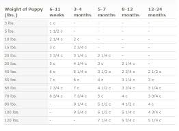 Great Pyrenees Feeding Chart Goldenacresdogs Com