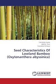 Image result for Oxytenanthera abyssinica