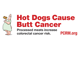 Symptoms of colon cancer in dogs a dog with colon cancer will develop diarrhea and will vomit. Advocacy Group Claims Hot Dogs Cause Butt Cancer On Chicago Billboard Cbs News