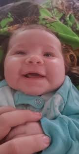 Grateful for our golden retriever's love and companionship