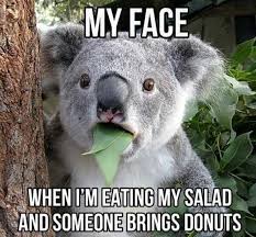 Pin By Jen Kaminski On 2020 True Ism Funny Koala Funny Animal Memes Funny Animal Pictures