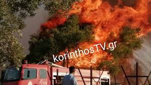 Μαίνεται η φωτιά που ξέσπασε το μεσημέρι της παρασκευής σε αγροτοδασική περιοχή ανάμεσα στο σπαθοβούνι και καλέντζι στην κόρινθο. Korin8os Mainetai H Megalh Fwtia Sto Kalentzi Enisxy8hkan Oi Pyrobestikes Dynameis