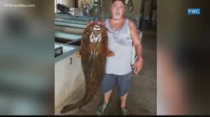 Check spelling or type a new query. Florida Fisherman Catches Record Breaking Flathead Catfish Wtsp Com
