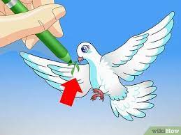 Sebab, masih ada merpati hias yang mempunyai ciri tubuh. Cara Menggambar Burung Merpati 15 Langkah Dengan Gambar