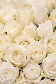 Check spelling or type a new query. Natural Rose Colors In 2020