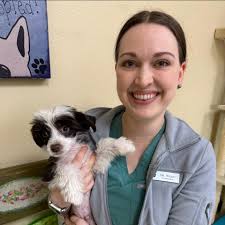 🩵this is our new friend , Chinese crested