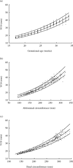 fetal transverse cerebellar diameter measurements in normal