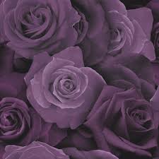 All flower background photos are available in jpg, ai, eps, psd and cdr format. Arthouse Purple Roses Flower Wallpaper 3d Heavyweight Modern Floral Flowers Ebay