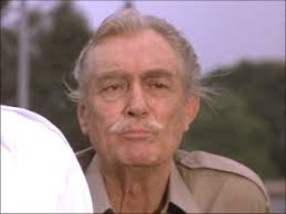 Who is Patrick Holt dating? Patrick Holt girlfriend, wife