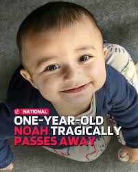 18-year-old David Brincat who planned to bomb the parliament in Malta has  pleaded insanity. He was caught with a garage full of explosive material,  as well as plans to bomb key areas