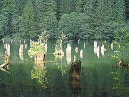 Cinci cele mai frumoase şi faimoase cascade. Baraj Wikipedia