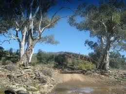 Flinders Ranges Outback Australia Australian Trees Scenery