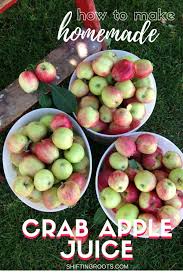 Have You Ever Wondered How To Use Up All Your Crab Apples Try Making Homemade Apple Juice With A Steamer Apple Juice Homemade Apple Juice Apple Juice Recipe