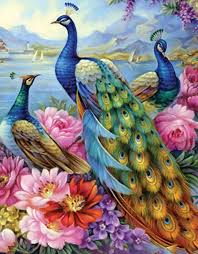 Peacock Beauty Diamond Painting Kit Cross Paintings Painting Diamond Painting